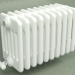 modèle 3D Radiateur TESI 6 (H 300 10EL, Standard blanc) - preview