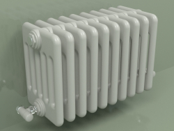 Radiator TESI 6 (H 300 10EL, Manhattan gray)