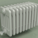 modèle 3D Radiateur TESI 6 (H 300 10EL, gris Manhattan) - preview