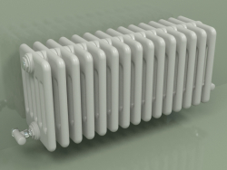 Radiateur TESI 6 (H 300 15EL, gris Manhattan)