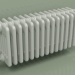 modèle 3D Radiateur TESI 6 (H 300 15EL, gris Manhattan) - preview