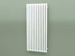 Radiator Triga E (WGTRG130058-E1, 1300х580 mm)