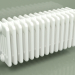 modèle 3D Radiateur TESI 6 (H 300 15EL, Standard blanc) - preview