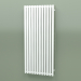 modèle 3D Radiateur Triga E (WGTRG130058-E8, 1300х580 mm) - preview