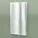 modèle 3D Radiateur Triga E (WGTRG130068-E8, 1300х680 mm) - preview