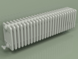 Radiateur TESI 6 (H 300 25EL, gris Manhattan)