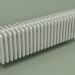 3d model Radiator TESI 6 (H 300 25EL, Manhattan gray) - preview