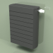 3d model Radiator - Faro H (FAH 33 600 mm, RAL - 9005) - preview