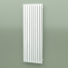 modèle 3D Radiateur Triga E (WGTRG170058-E1, 1700х580 mm) - preview