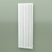 modèle 3D Radiateur Triga E (WGTRG170058-E8, 1700х580 mm) - preview