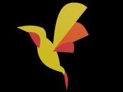 Polygonal hummingbird