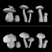 modèle 3D de Champignons Set 2 acheter - rendu