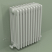 modèle 3D Radiateur TESI 6 (H 600 10EL, gris Manhattan) - preview