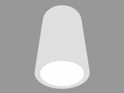 छत दीपक SLOW DOWNLIGHT (S3925)