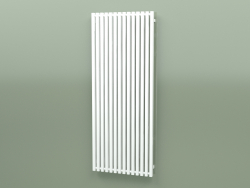 Radiateur Triga E (WGTRG170068-E8, 1700х680 mm)