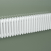 modèle 3D Radiateur tubulaire PILON (S4H 4 H302 25EL, blanc) - preview