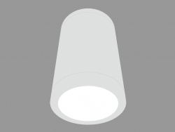 छत दीपक SLOW DOWNLIGHT (S3967)