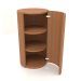 3D Modell Schrank (mit offener Tür) TM 09 (D=503х931, Holzrot) - Vorschau