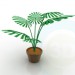 Modelo 3d Palm - preview