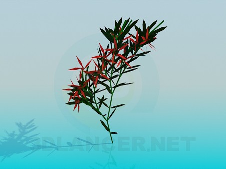 3d model Indoor flower - preview