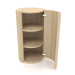 modèle 3D Armoire (avec porte ouverte) TM 09 (D=503х931, bois blanc) - preview