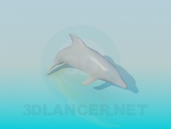 Delphin