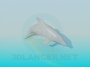 Delphin