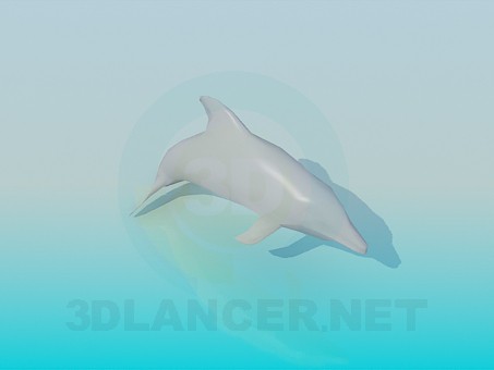 3D Modell Delphin - Vorschau