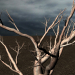 3d model tree - preview