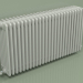 modèle 3D Radiateur TESI 6 (H 600 25EL, gris Manhattan) - preview