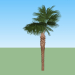 3d model Palm tree - preview