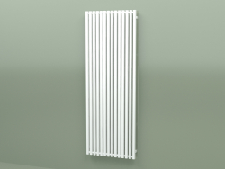 Radiateur Triga E (WGTRG190068-E1, 1900х680 mm)