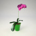 Orquídea Phalaenopsis 3D modelo Compro - render