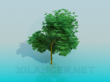 modèle 3D Arbre - preview