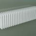 modèle 3D Radiateur tubulaire PILON (S4H 6 H302 25EL, blanc) - preview