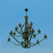 3d model Chandelier - preview