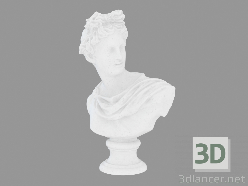 modello 3D Busto in marmo di Busto di Apollo Belvedere - anteprima