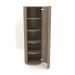 modèle 3D Armoire (avec porte ouverte) TM 09 (D=503x1510, gris bois) - preview