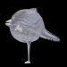 3d Soft toy bird model buy - render