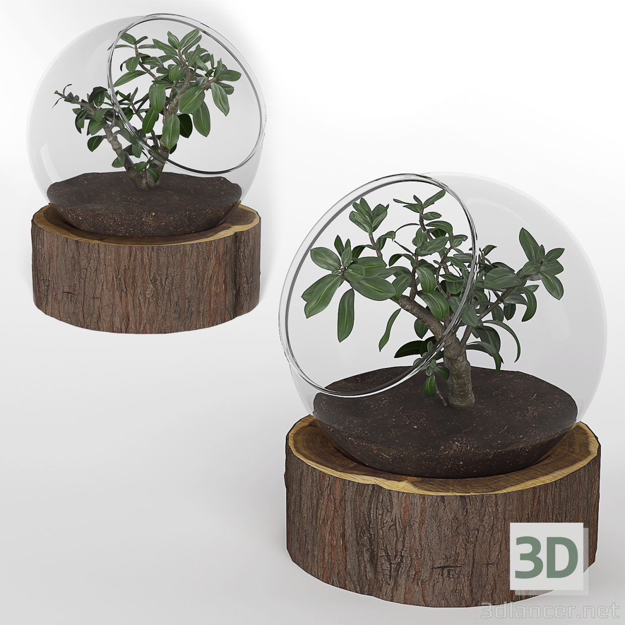 Bonsai-Pflanze-01 3D-Modell kaufen - Rendern