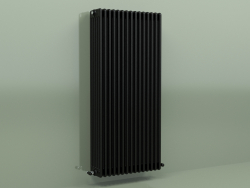 Radiateur TESI 6 (H 1500 15EL, Noir - RAL 9005)