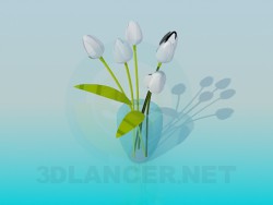 Vase with white tulips