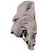 3d Lion. a lion model buy - render