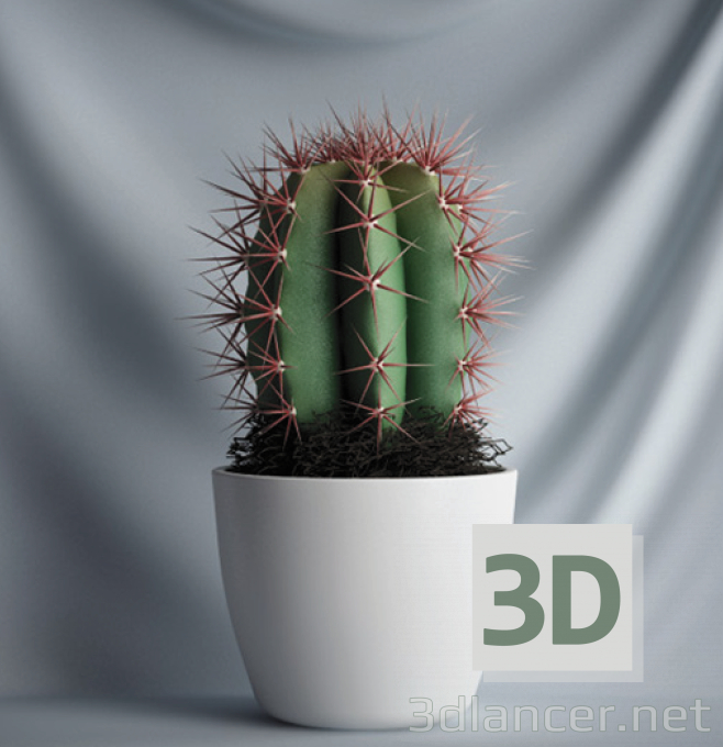 modèle 3D Cactus - preview