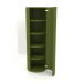 modèle 3D Armoire (avec porte ouverte) TM 09 (D=503х1510, vert) - preview