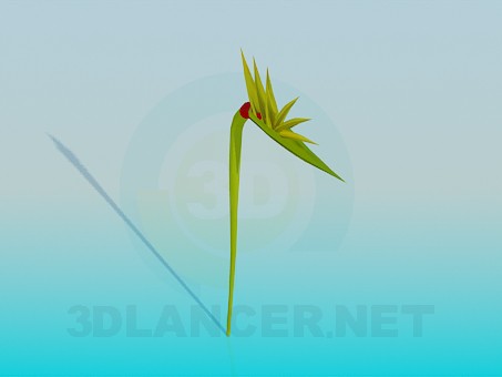 3d model Flower bud - preview