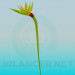 3d model Flower bud - preview