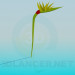 3d model Flower bud - preview