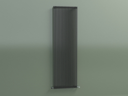 Radiator vertical ARPA 18 (1820x541, transport black RAL 9005)