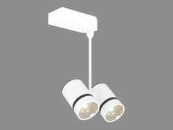 Lampada da soffitto Lota 2L